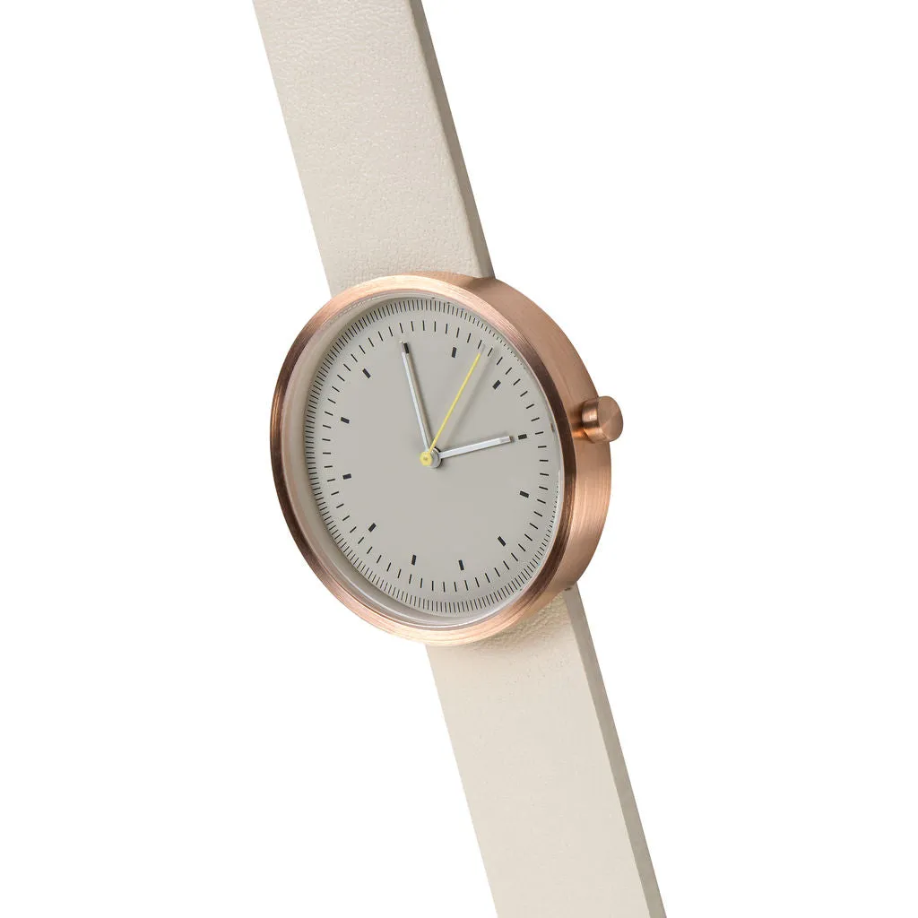 AÃRK Collective Interval Watch | Rose