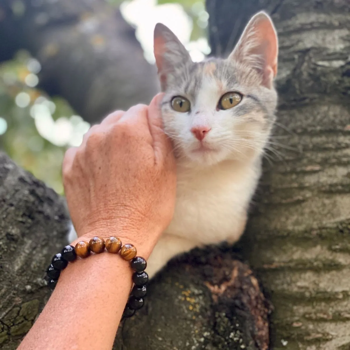 Grounding Earth Bracelet with Onyx and Tiger Eye